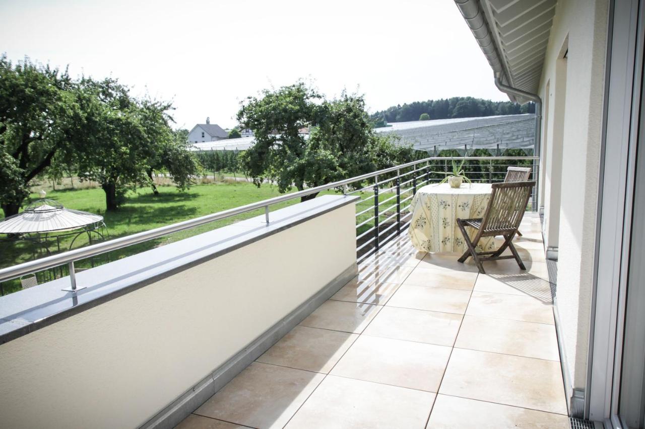Wunderschoene, Helle 3-Zi-Whg Mit Grossem Balkon フリードリヒスハーフェン エクステリア 写真