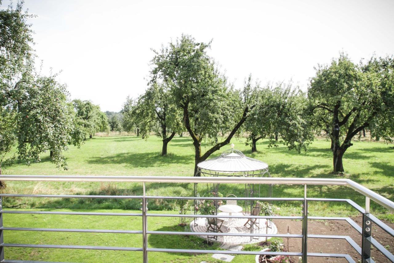 Wunderschoene, Helle 3-Zi-Whg Mit Grossem Balkon フリードリヒスハーフェン エクステリア 写真
